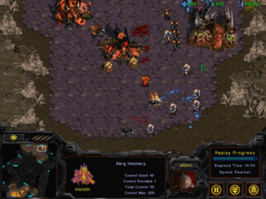 暴风虫族最新爆料,揭秘神秘虫族势力崛起之谜