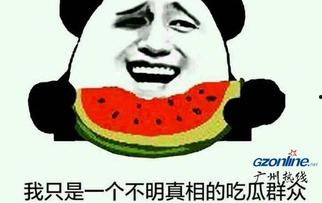 吃瓜啥意思网络用语,网络热词背后的文化现象