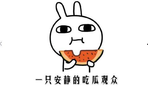 娱乐吃瓜风格是什么意思啊