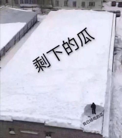 一起来吃瓜正版